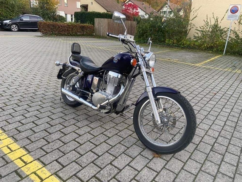 Suzuki LS 650 P | Kaufen auf Ricardo
