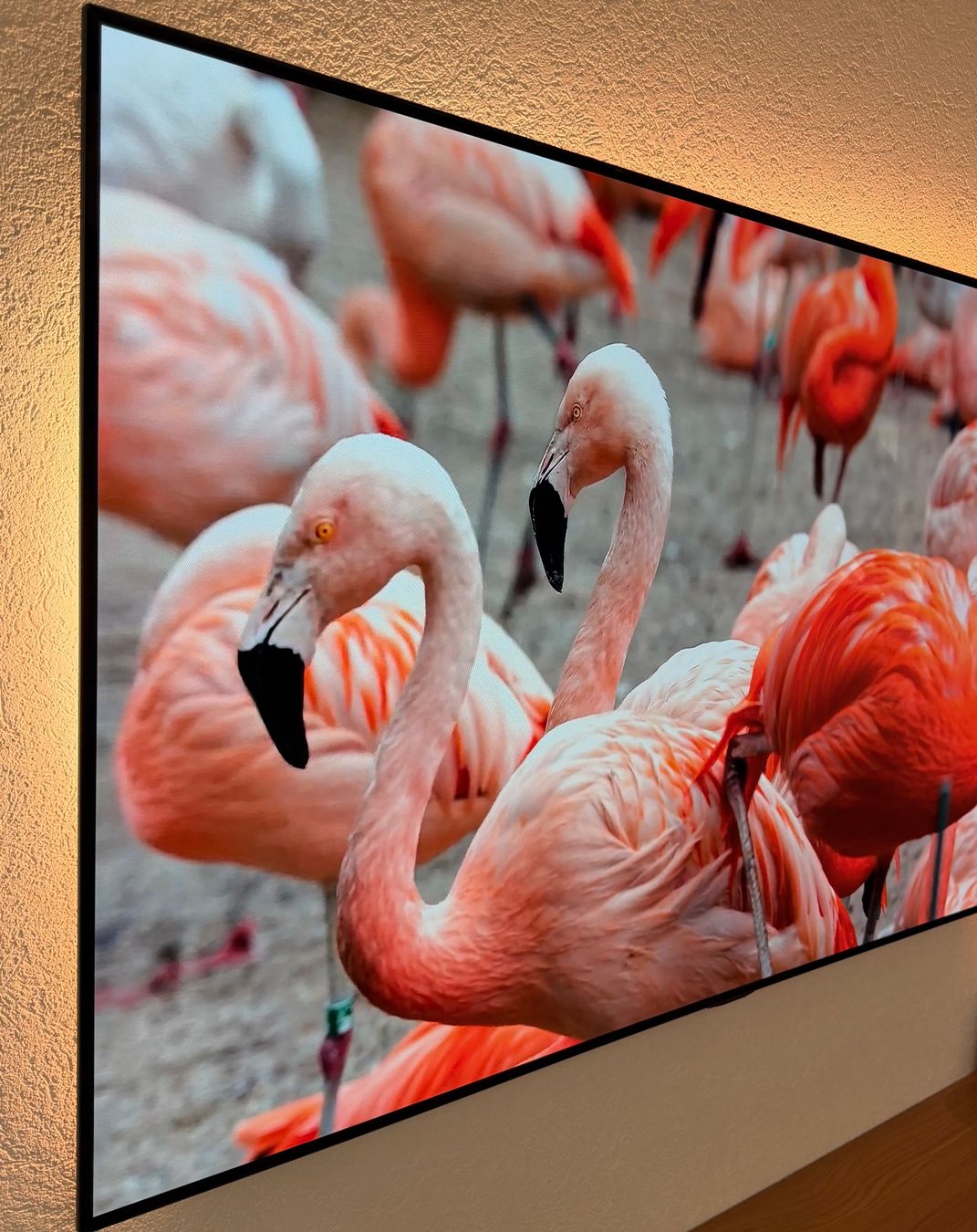 LG Fernseher: LG OLED AI 65GX Gallery Design – Gebraucht aus Fahrni b. Thun von chrigu6574 1