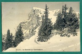 Le Sommet du Chamossaire, 1909, gelaufen