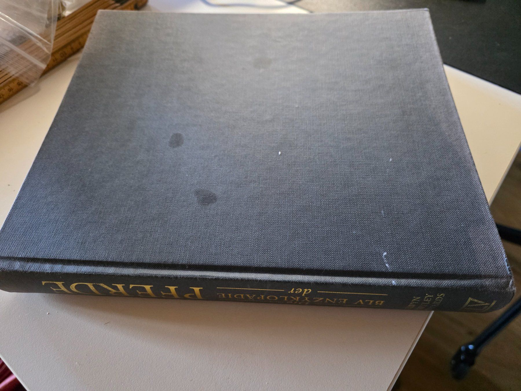 Bücher: die BLV Enzyklopädie der Pferde - 1995 – Gebraucht aus Walterswil BE von Lonitti 7