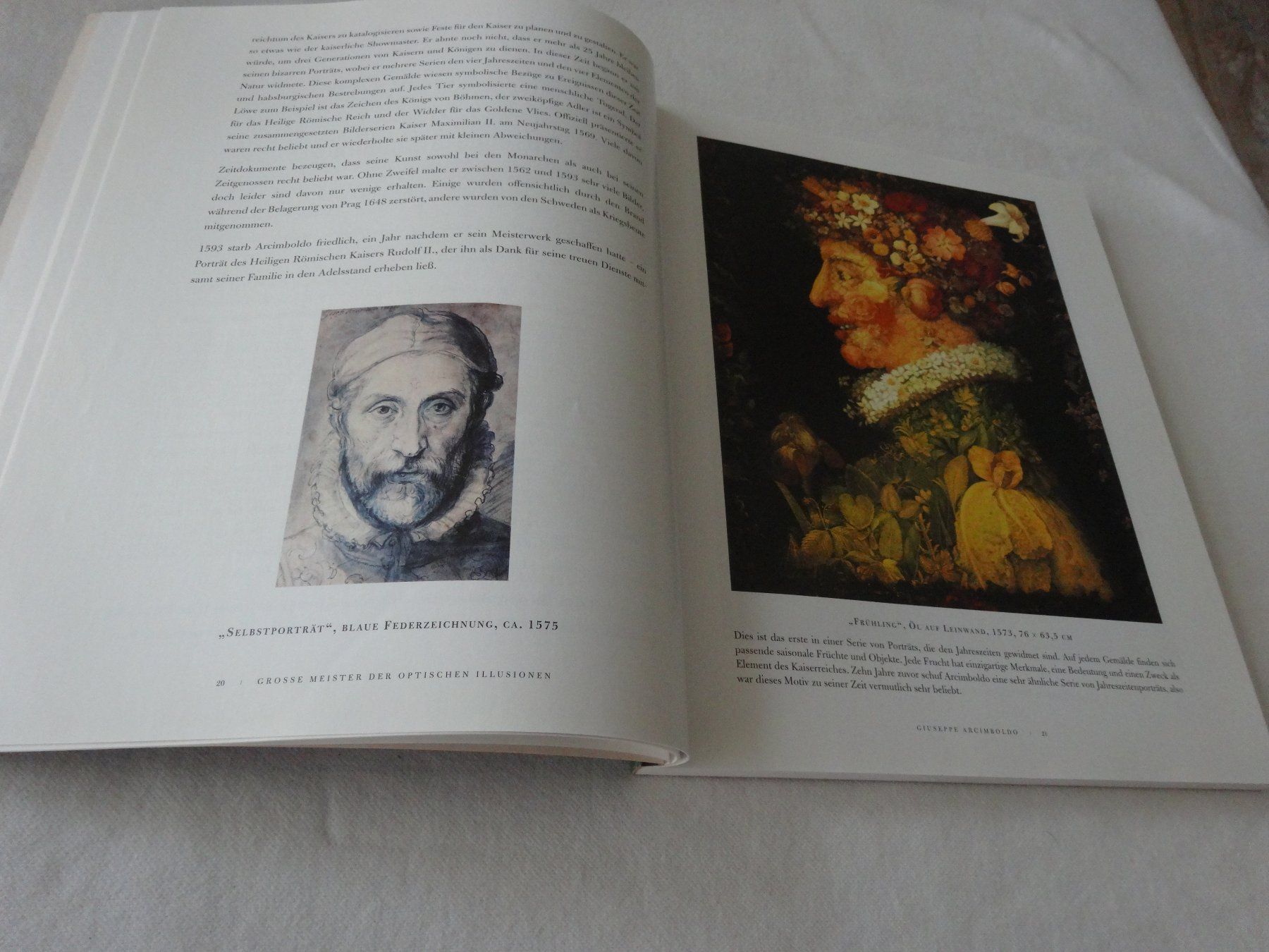 Libri: Meisterwerke Optischen Illusionen Al Seckel – Usato da Neerach venduto da jenny062 4