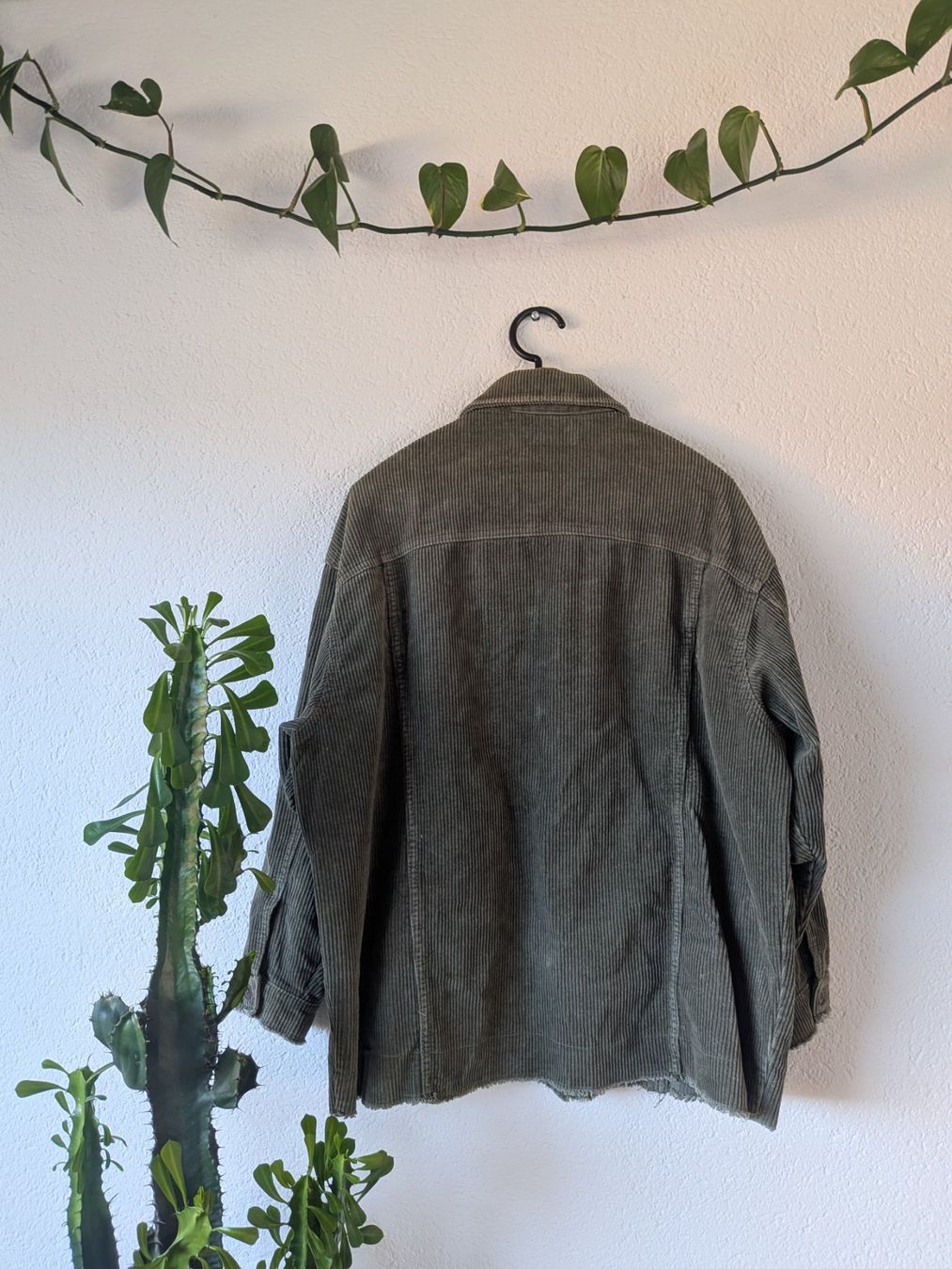 Zara Giacche: Cordjacke – Usato da Ostermundigen venduto da om11 3