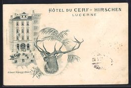 Litho Lucerne, Hotel du Cerf, Albert H