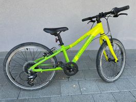 Crosswave Prime Rider 20 Zoll / Farbe: gelb/grün