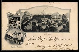 AK Bürgenstock, Hotel- und Parkanlage, Pension Waldheim