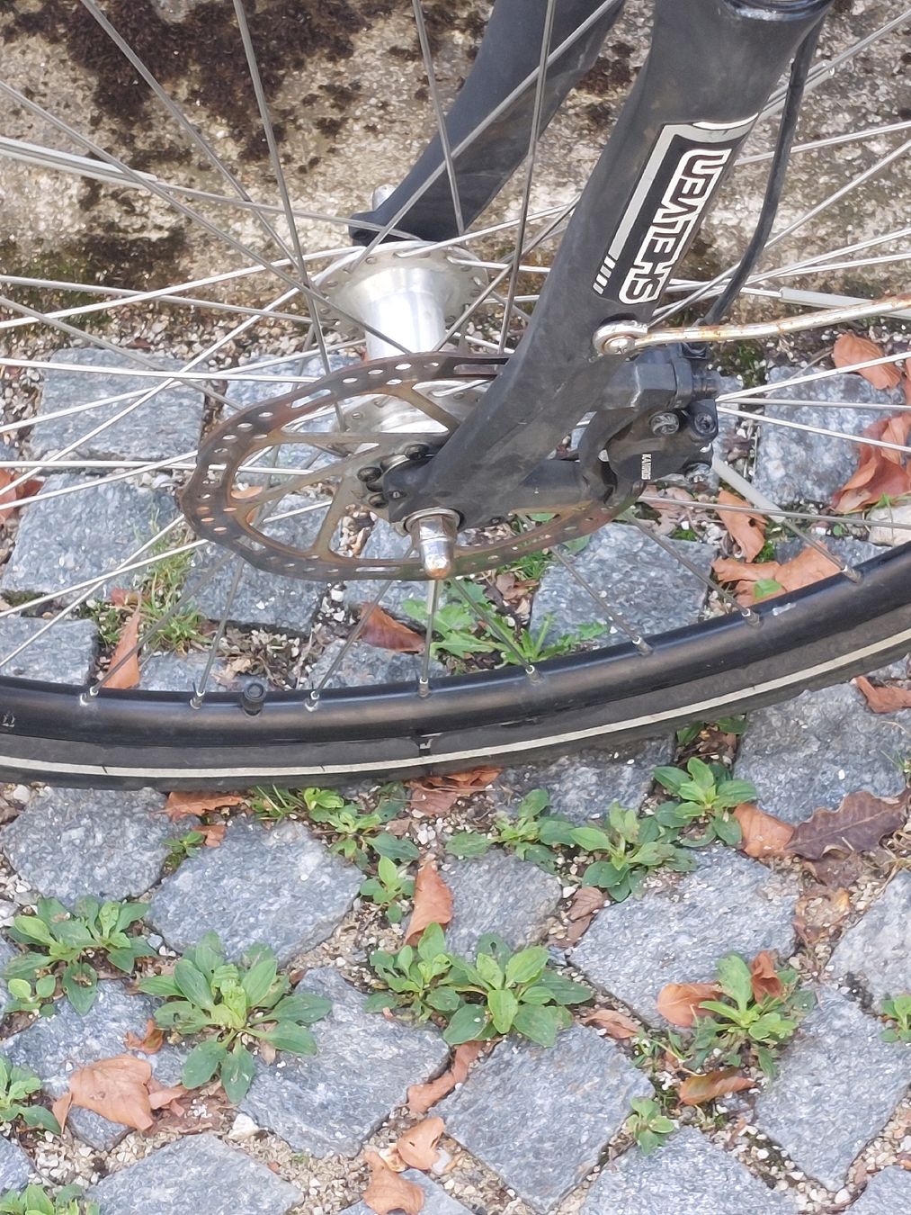 Trelago Biciclette: Vélo électrique Trelago – Usato da La Chaux-de-Fonds venduto da zvouvi 4