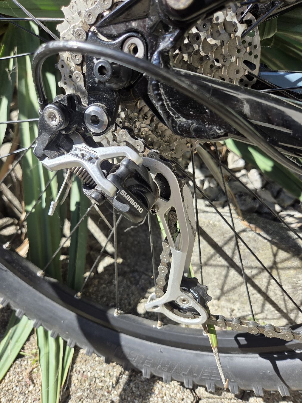 Wheeler Velos: MTB Wheeler Tiger 12 – Gebraucht aus Tenniken von Mrsush 6