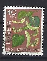 1976 - PJ / Heilpflanzen -  Linde