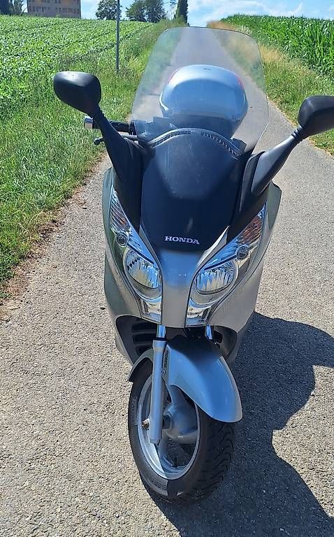 Scooter: Honda FES 125 S-Wing ABS – Usato da Regensdorf venduto da Raketa 1