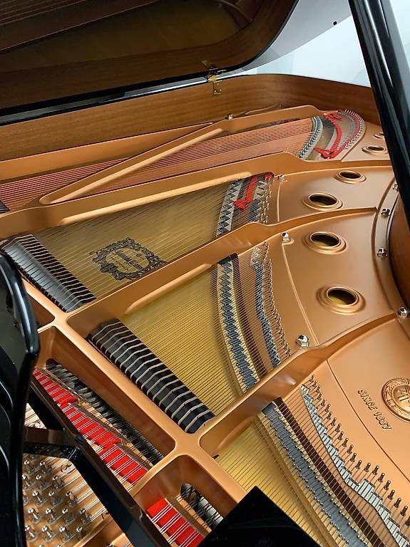 Yamaha Strumenti musicali: Yamaha C6 neu!!! – Nuovo (secondo la descrizione) da Niederhasli venduto da Musikhaus-Ammann 4