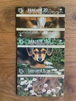 3 Taxcards Tierserie Hase, Katze, Hund ungebraucht