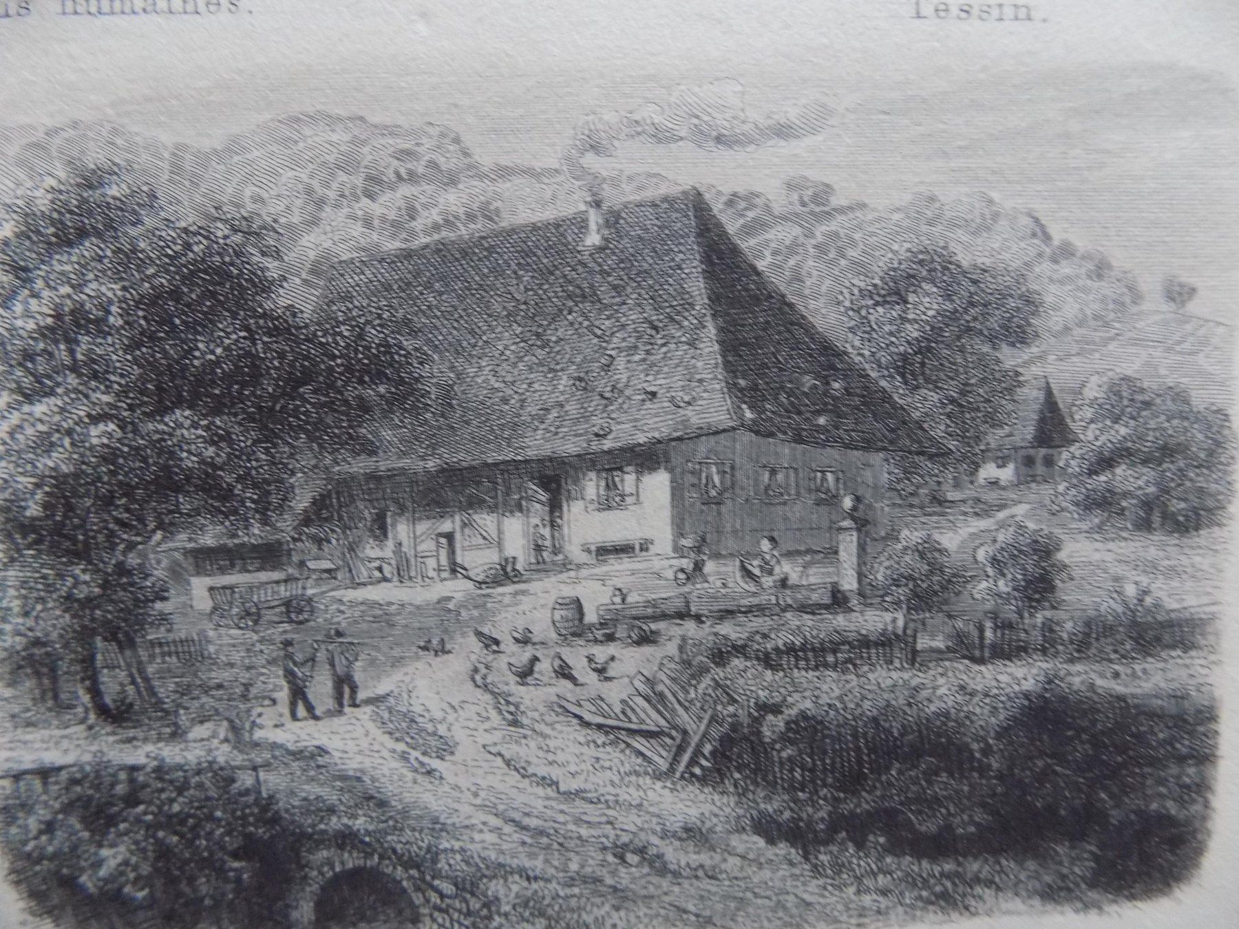Incisioni: Types des maisons – Usato da Risch venduto da Rischli15 9