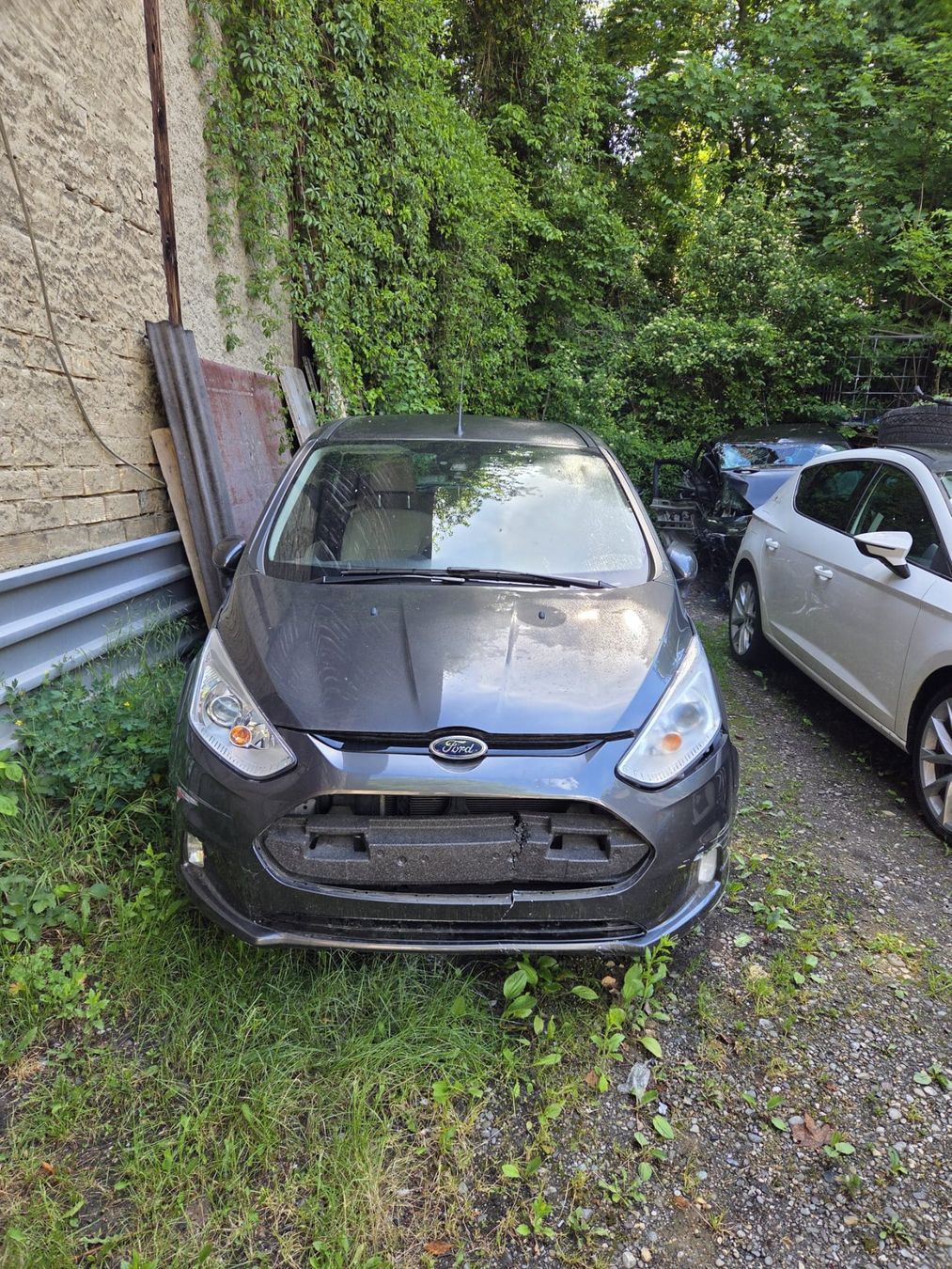 Ford Automobili: Ford B-Max 1.6 – Usato da Buch SH venduto da tassg 1