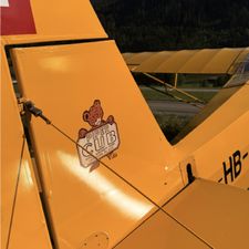 Profile image of PilotM