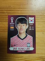 Panini WM 2022-KOR 13