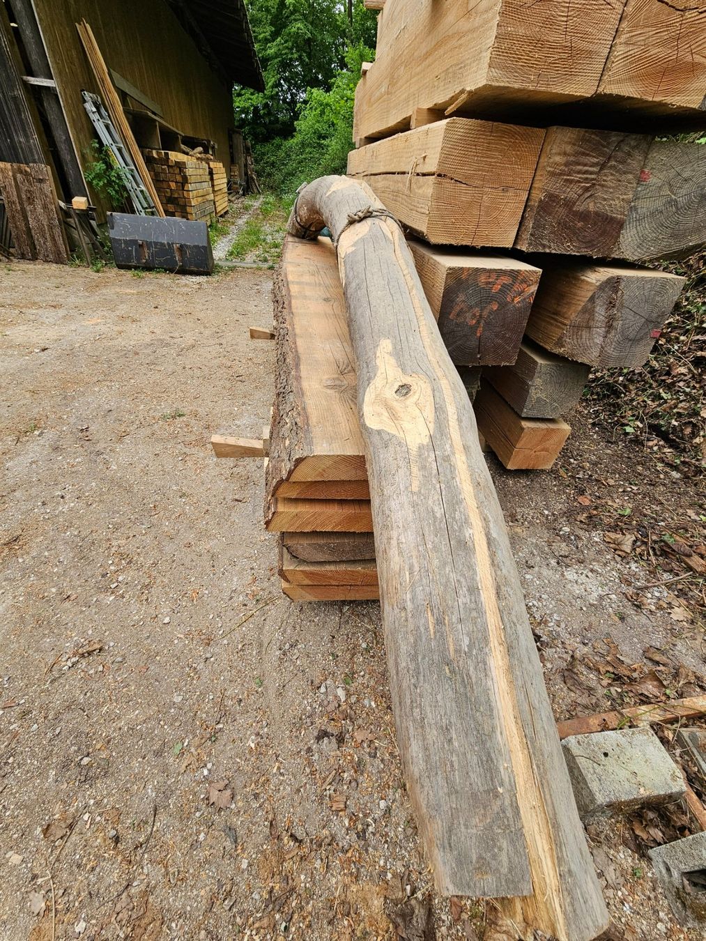 Holzartikel: Bogenstamm – Neu (gemäss Beschreibung) aus Aarburg von Joerg.Andre 2