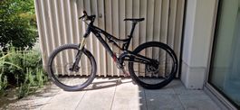 Santa Cruz Butcher (M) / Vintage Status