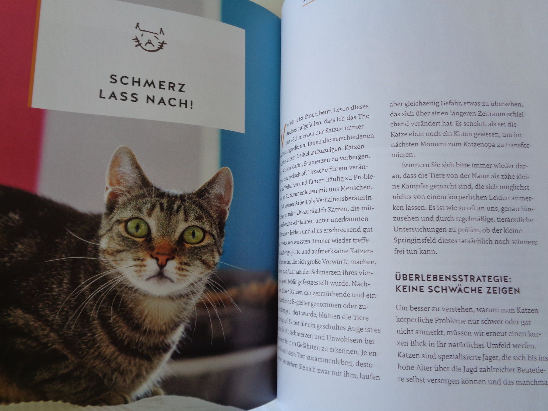 Libri: Wie wir Katzen glücklich machen - Carmen Schell – Usato da Chur venduto da Oregano1 6