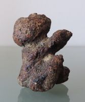 Ancestor Amulett "jimat merapu" Koralle, Sumba, Indonesia