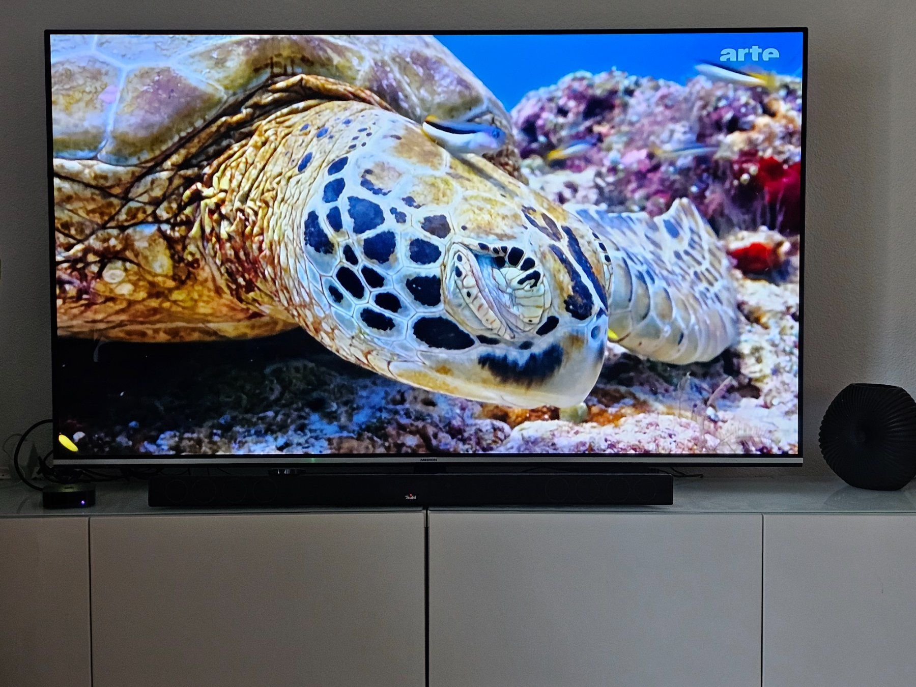 Fernseher: OLED Smart TV – Gebraucht aus Romanshorn von udo_ytq5