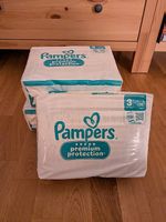 Pampers Premium Protection Gr. 3 (105 Stück)