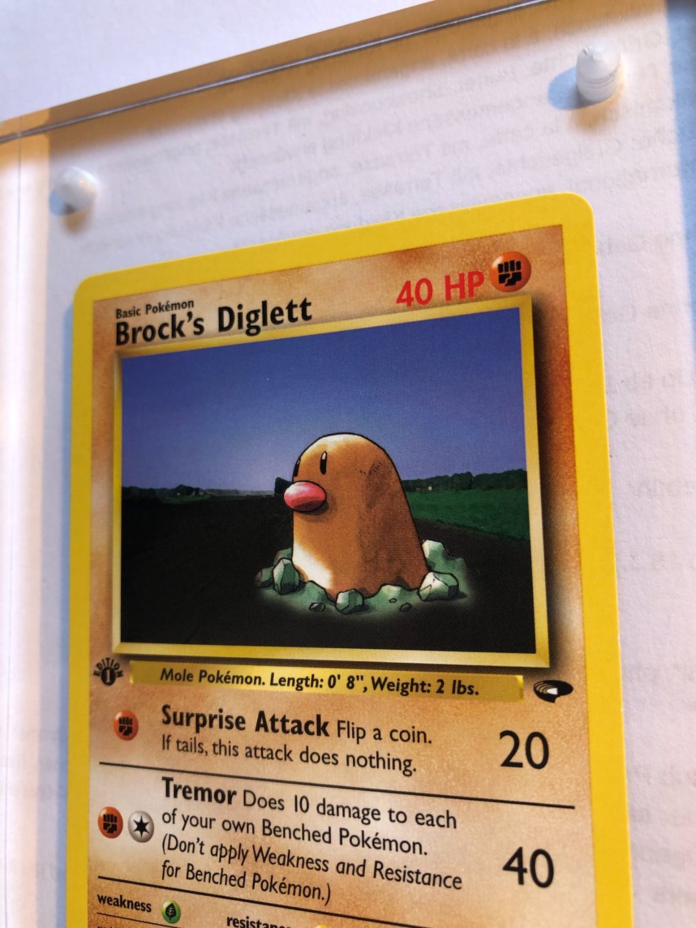 Carte collezionabili: Brock's Diglett 1st Gym Challenge - MINT - ab 1.- – Usato da Giubiasco venduto da dan_pr8b 3
