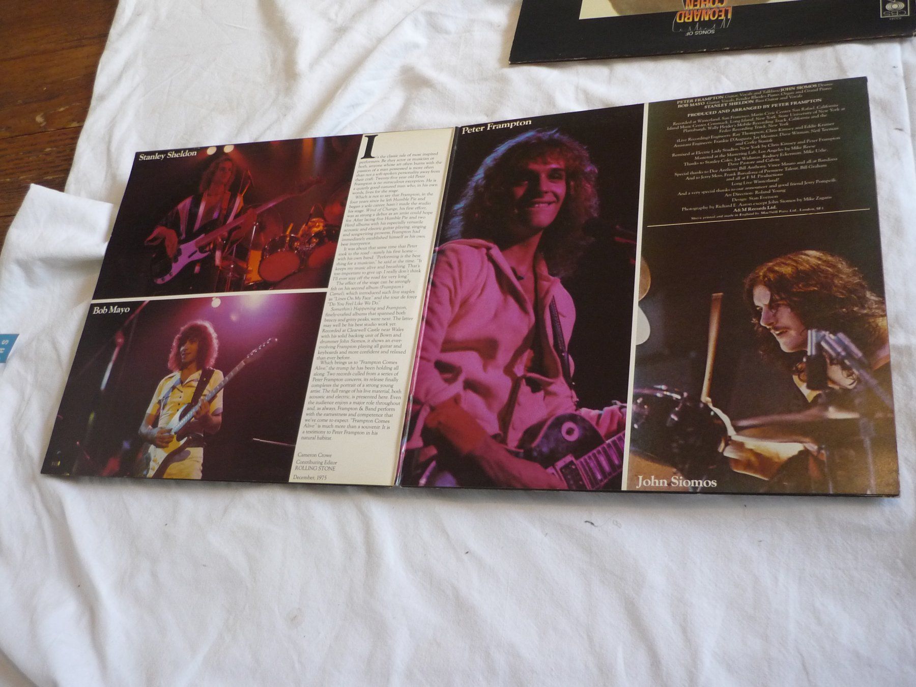 Dischi in vinile: Vinyl 12" Schallplatte - Frampton comes Alive – Usato da Beringen venduto da Flatretriever 1