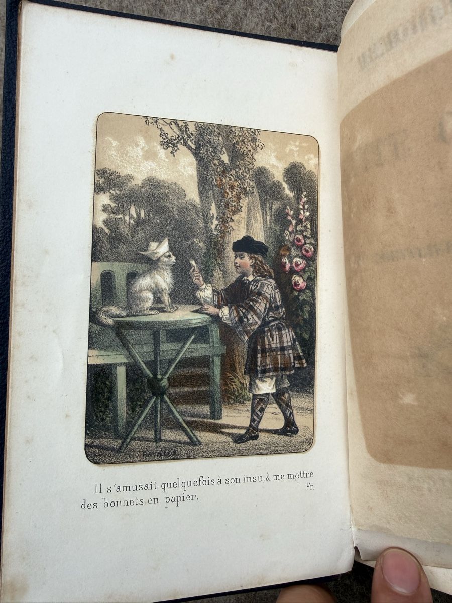 Libri: Mémoire d’une chatte par Desormaux – Usato da Fribourg venduto da Ardoffel 3