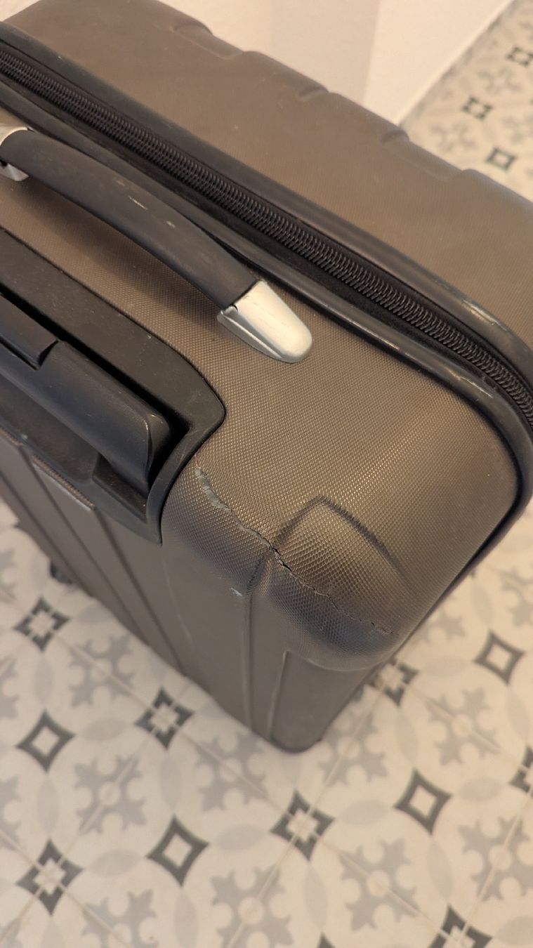 Valigie: Large Luggage – Usato da Basel venduto da mhg_99c6 2