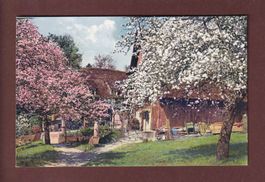 LANDSCHAFT - Frühling - Bauernhof