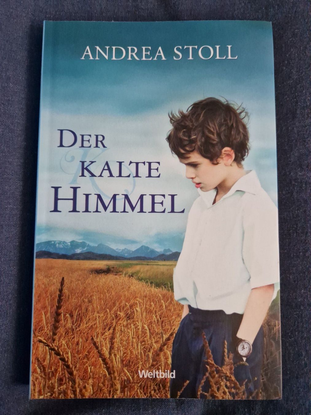 Livres: Andrea Stoll Der kalte Himmel – D'occasion à Neuhausen am Rheinfall par Alchimista