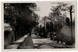 Bern, Rosengarten, belebt, Photokarte, gelaufen 1934