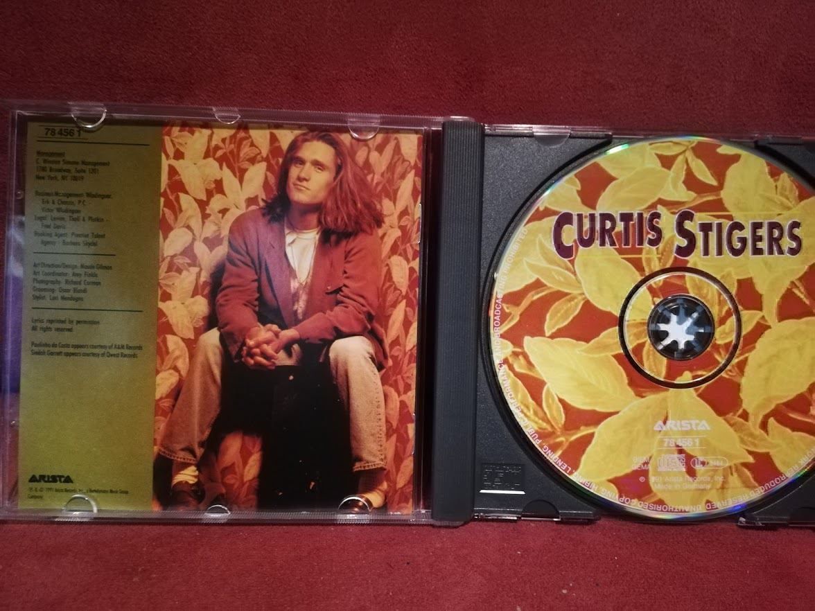 CD: Curtis Stigers CD Top Zustand – Usato da Zofingen venduto da noise123 3