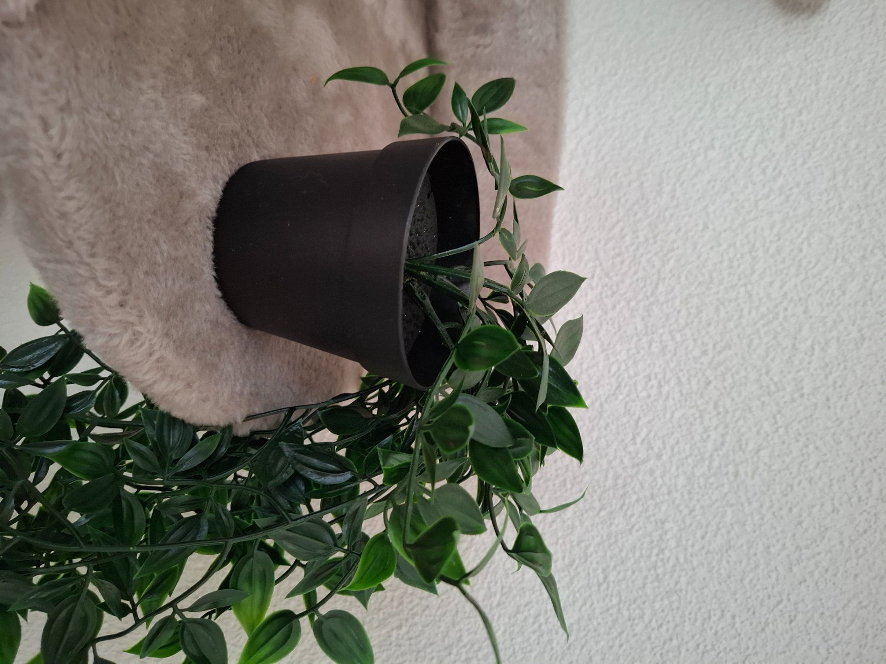 Pflanzen & Samen: Künstliche Pflanze – Gebraucht aus Hunzenschwil von Tanja2011 5