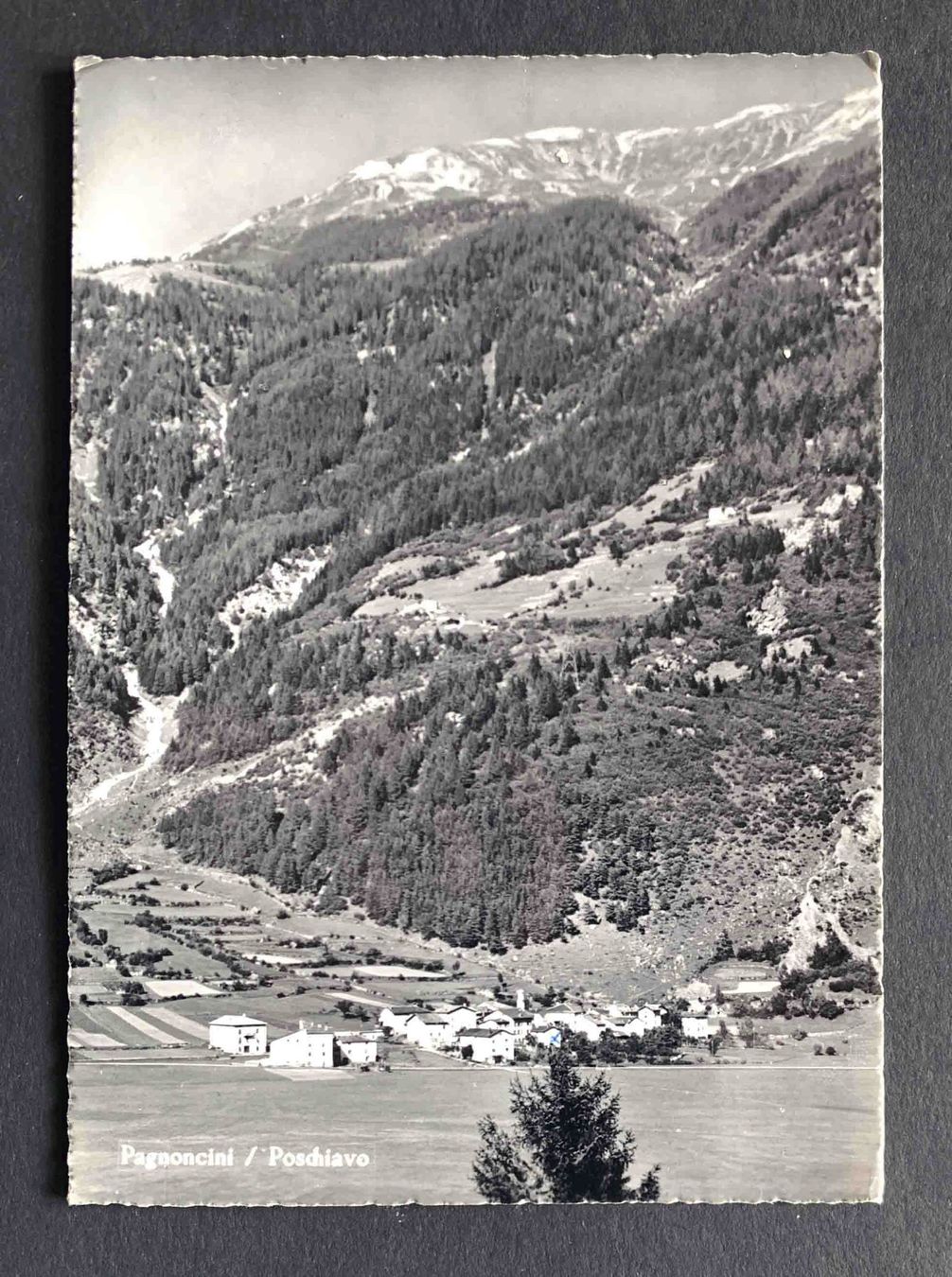 Ansichtskarten: AK Pagnoncini Poschiavo – Gebraucht aus Goldau von artelier1