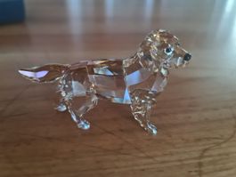 Swarovski Figur Golden Retriver Originalverpackt 