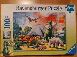 5 Dinosaurier-Puzzles