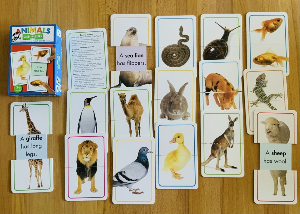 Spiele: Flashcards board signs educational bundle teaching resources – Gebraucht aus Lufingen von lotzstef 5