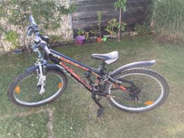 Velo California 24 Zoll
