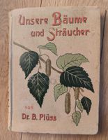 Unsere Bäume und Sträucher