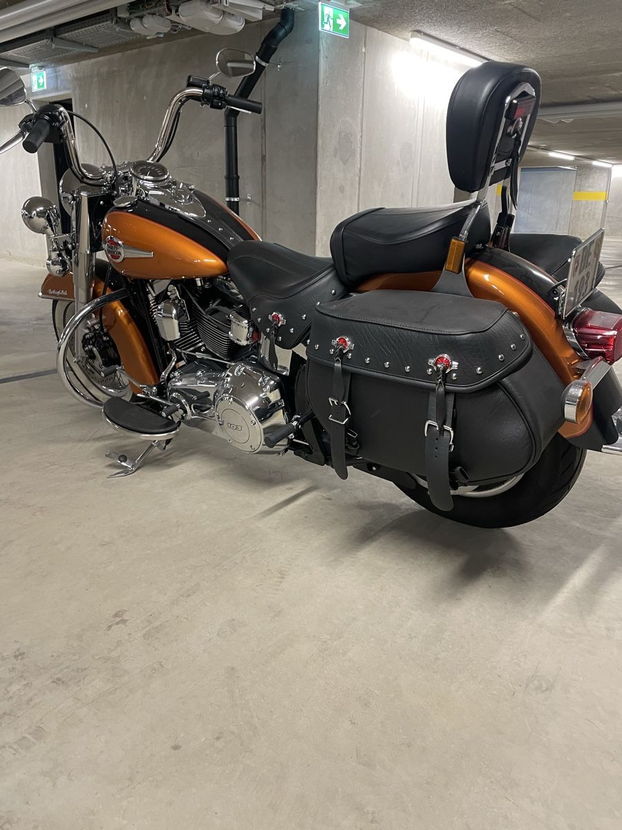 Harley-Davidson Chopper: Harley Davidson FLSTC – Gebraucht aus Huttwil von boumi06 8