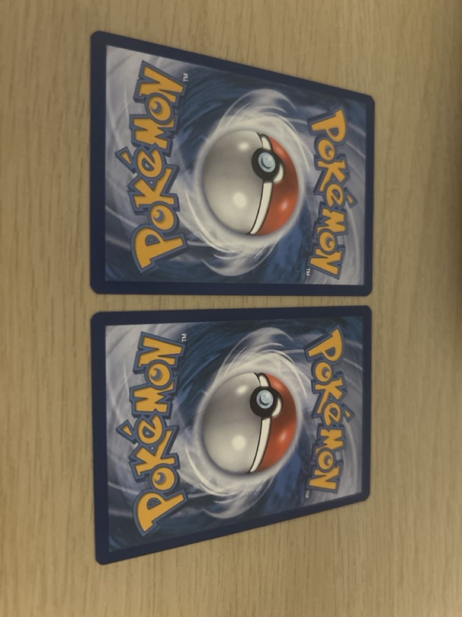 Pokémon Carte collezionabili: Zacian + Zamazenta V – Nuovo (secondo la descrizione) da Lausanne venduto da POKEALE 1