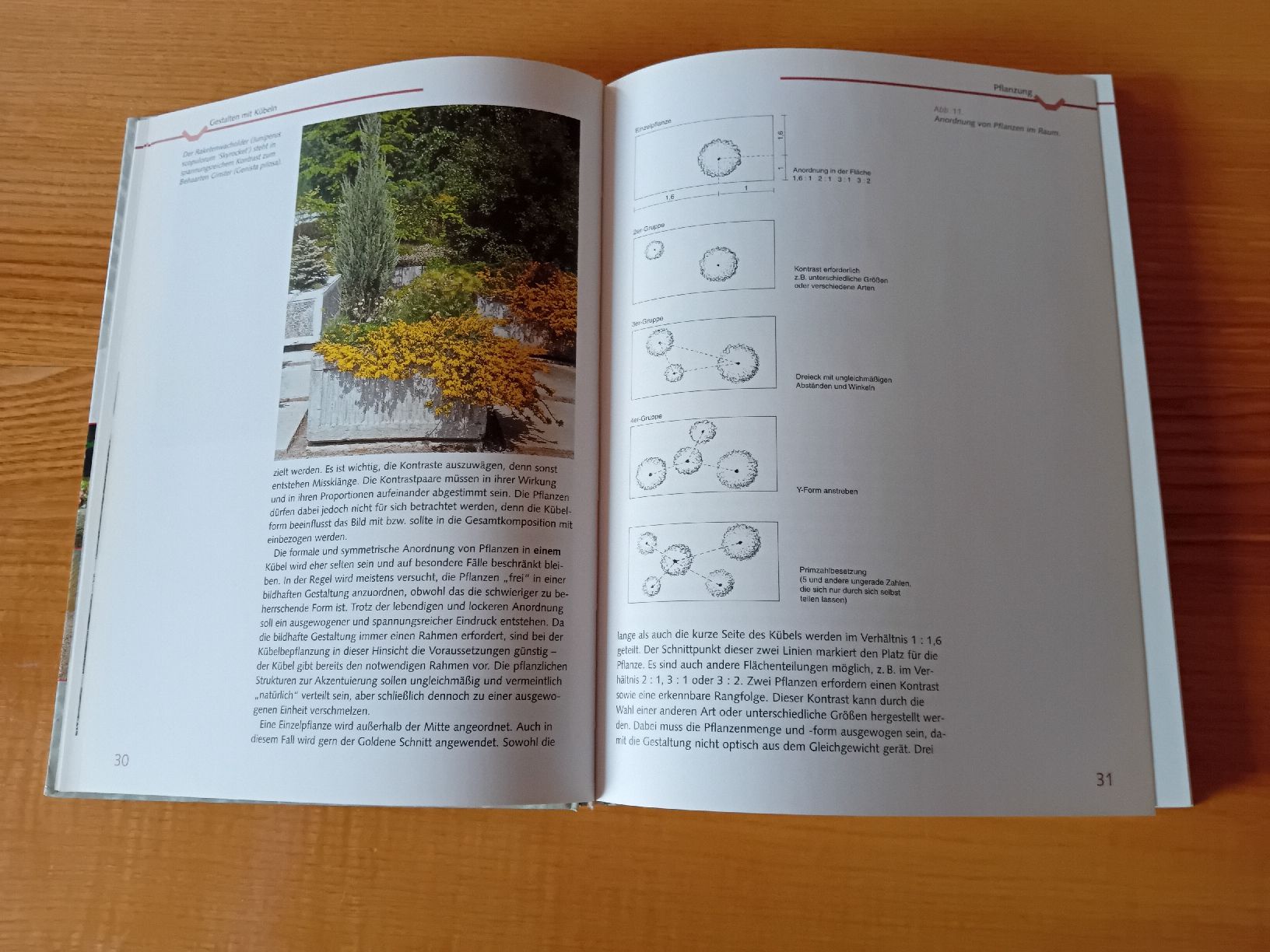 Bücher: Gartenbuch: Tröge und Container bepflanzen – Gebraucht aus St. Ursen von Su_Vo-Bi 1