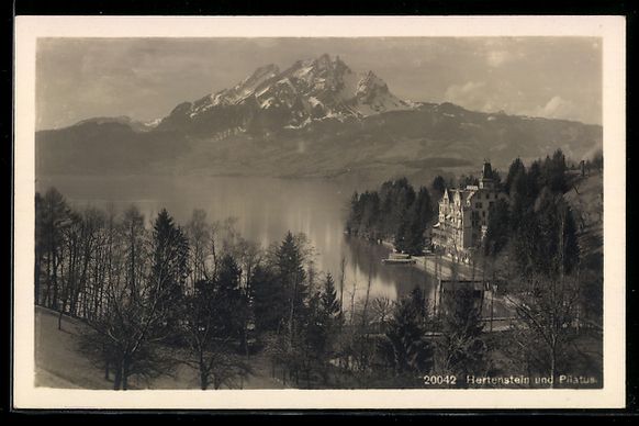 Cartes postales: AK Hertenstein, Panorama mit Pilatus – D'occasion à Berlin par bartko-reher
