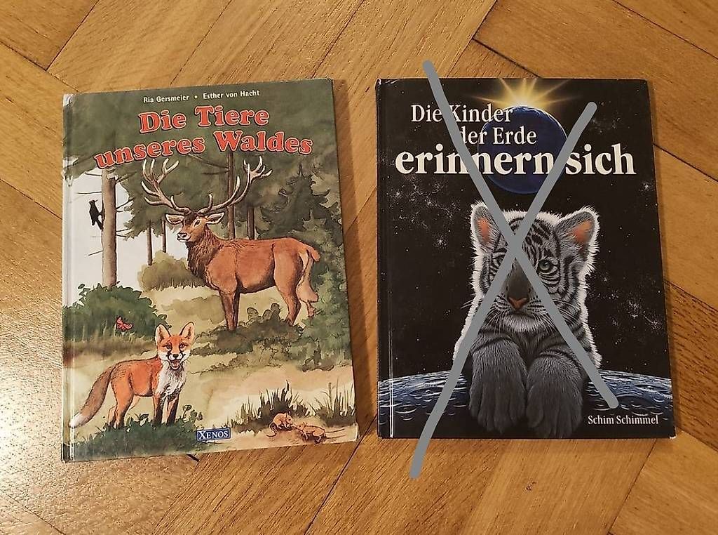 Libri: Grosse Kinderbücher – Usato da Zürich venduto da jeu_szl9