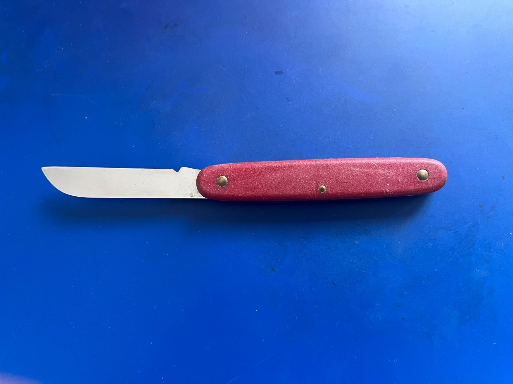 Victorinox Coltelli tascabile: Victorinox Blumen-Messer – Usato da Dintikon venduto da Redgar58 1