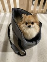 Neu! Hundetasche Grau
