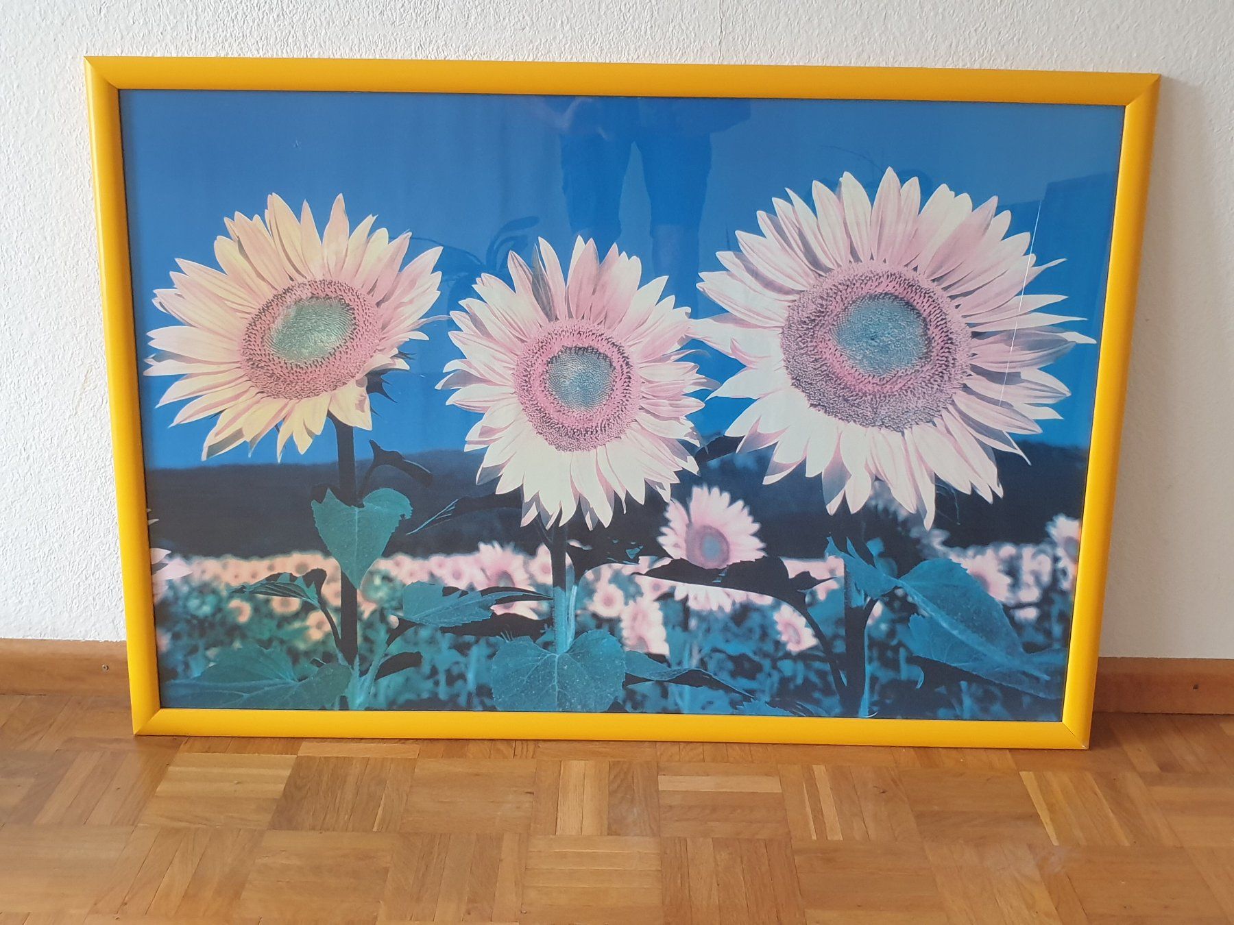 Cornici: Wechselrahmen "Sonnenblume" – Usato da Uznach venduto da marlenegebert