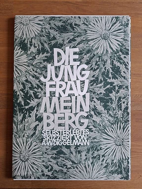Libri: Die Jungfrau / Mein Berg – Usato da Wabern venduto da amo_pp26