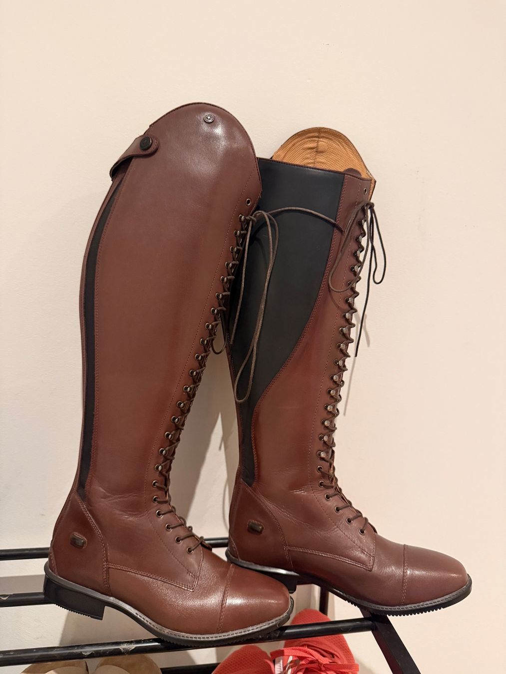 Scarpe da uomo: Südwind Legacy Venado Reitstiefel – Nuovo (secondo la descrizione) da Wettswil venduto da Jeennifeer